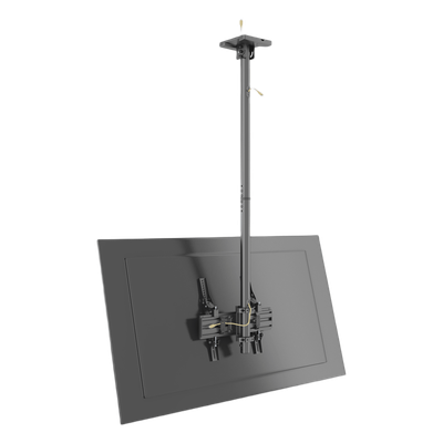 Vista 5