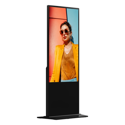 Vista 3