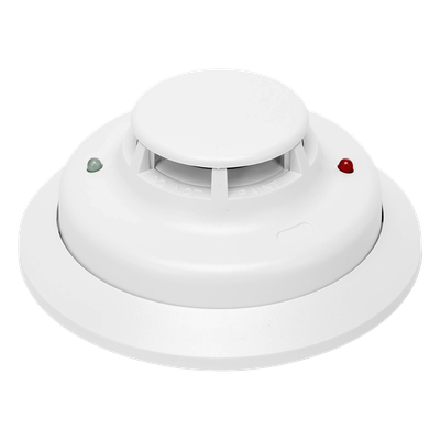 Vista 4