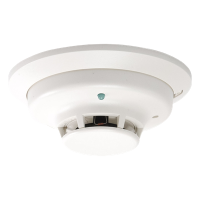 Vista 4