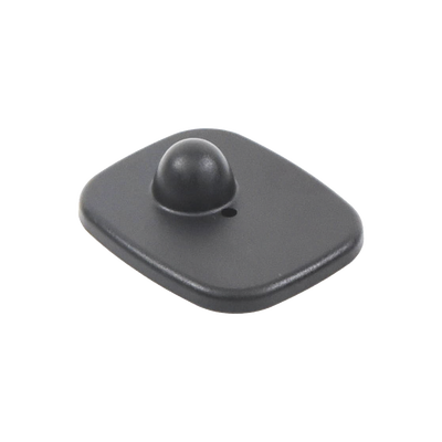Vista 4