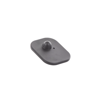 Vista 6