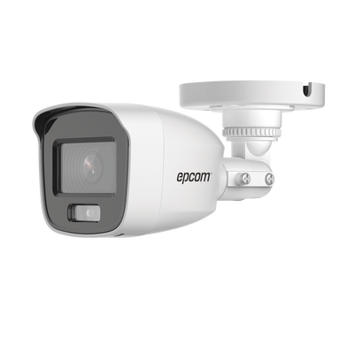 Vista 2
