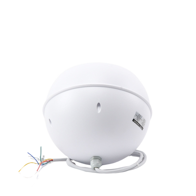 Vista 6
