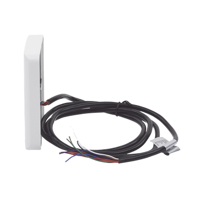 Vista 3