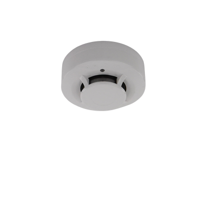 Vista 3