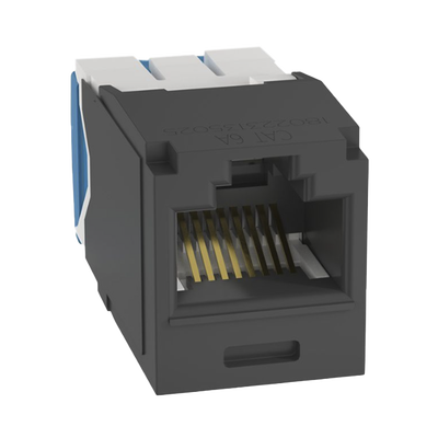 Vista 2
