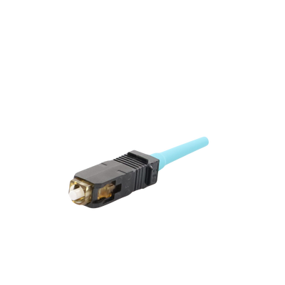 Vista 4