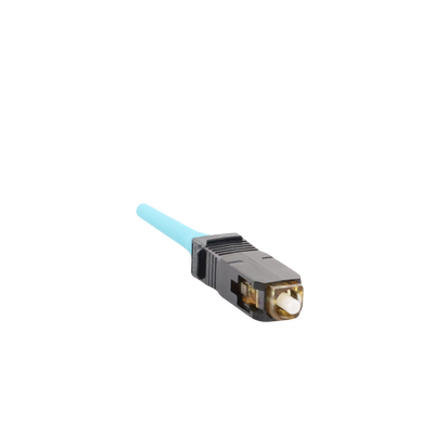 Vista 5