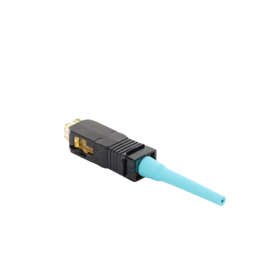 Vista 6