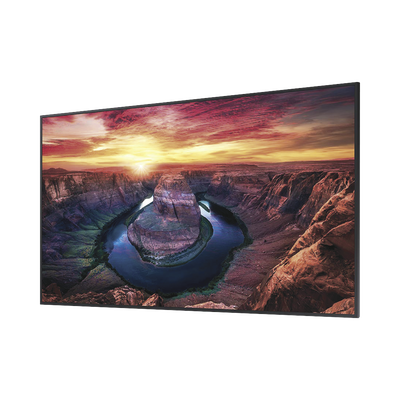 Vista 2
