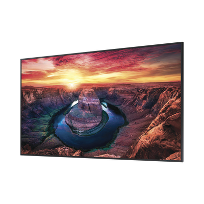 Vista 2