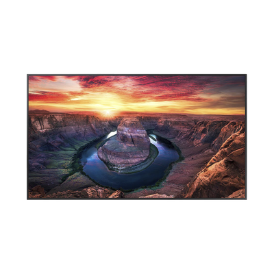 Vista 2