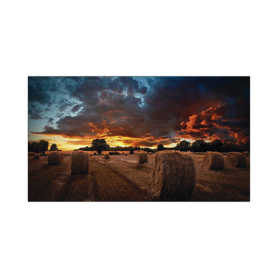 Vista 2