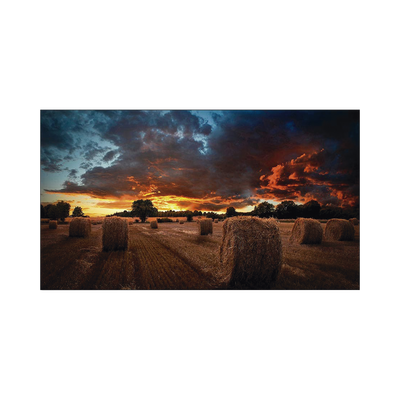 Vista 2