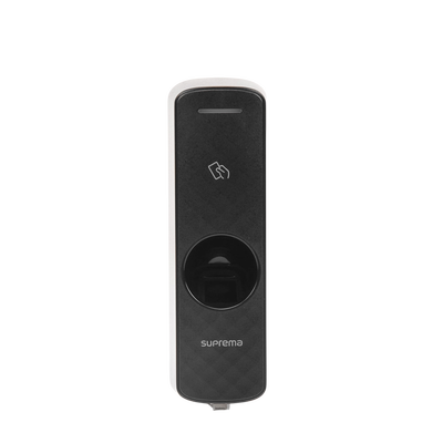 Vista 6