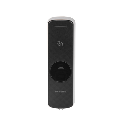 Vista 6