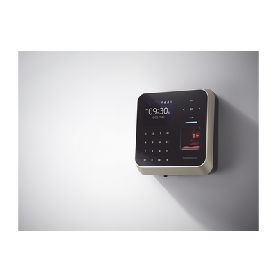 Vista 6