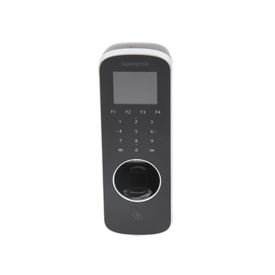 Vista 6