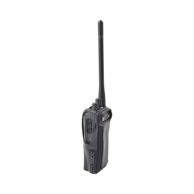 Vista 6