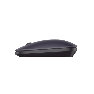 Vista 5