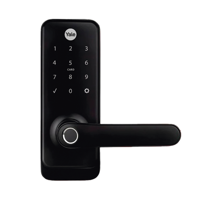 Vista 2