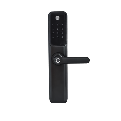 Vista 2