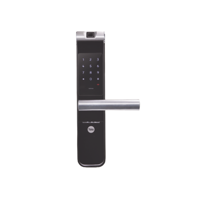 Vista 2