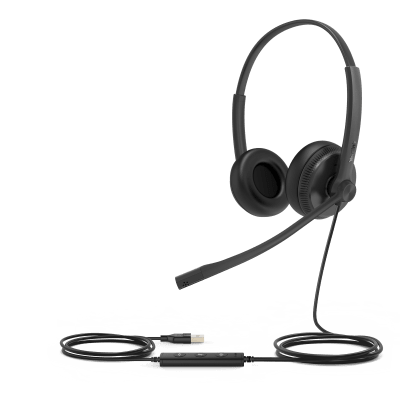 Vista 2