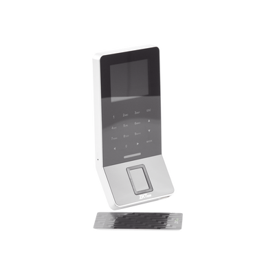 Vista 5