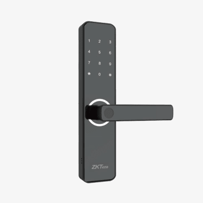 Vista 3