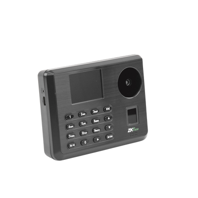 Vista 6
