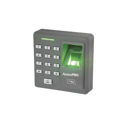 Vista 2